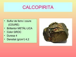 CALCOPIRITA

• Sulfur de ferro i coure
   (COURE)
• Brillantor METÀL·LICA
• Color GROC
• Duresa 4
• Densitat (g/cm3) 4,2
 