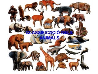 CLASSIFICACIÓ DELS ANIMALS 