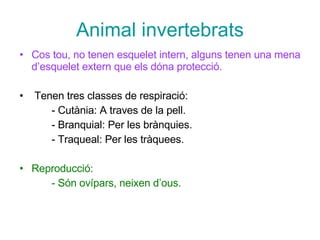 Classificacio Animals