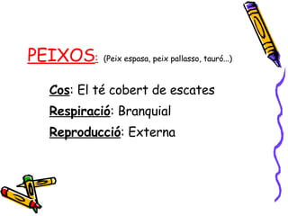 PEIXOS :   (Peix espasa, peix pallasso, tauró...) Cos : El té cobert de escates Respiració : Branquial Reproducció : Externa 