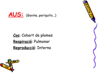 AUS:   (Gavina, periquito...) Cos : Cobert de plomes Respiració : Pulmonar Reproducció : Interna 