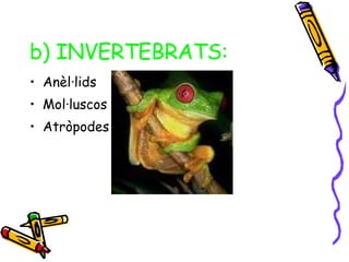 b)   INVERTEBRATS:   Anèl·lids Mol·luscos Atròpodes 
