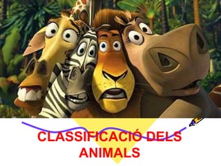 CLASSIFICACIÓ DELS NIMALS CLASSIFICACIÓ DELS ANIMALS 