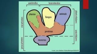 Classificações  dos seres  vivos