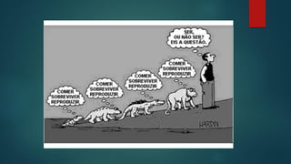 Classificações  dos seres  vivos