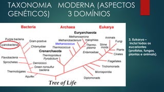 TAXONOMIA MODERNA (ASPECTOS
GENÉTICOS) 3 DOMÍNIOS
3. Eukarya –
Inclui todos os
eucariontes
(protistas, fungos,
plantas e animais).
 
