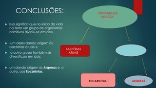 CONCLUSÕES:
 Isso significa que no início da vida
na Terra um grupo de organismos
primitivos dividiu-se em dois,
 um deles dando origem às
bactérias atuais e,
 o outro grupo também se
diversificou em dois:
 um dando origem as Arqueas e, o
outro, aos Eucariotas.
ORGANISMOS
ANTIGOS
BACTÉRIAS
ATUAIS
ARQUEASEUCARIOTAS
 