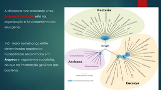 A diferença mais marcante entre
Arqueas e bactérias está na
organização e funcionamento dos
seus genes.
Há maior semelhança entre
determinadas sequências
nucleotídicas encontradas em
Arqueas e organismos eucariotas,
do que na informação genética das
bactérias.
 