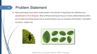 Problem Statement
 Many techniques have been implemented in the domain of agriculture for detection and
classification of fruit diseases. Most of these techniques focus on hand crafted features which
do not yield promising results due to several factors such as change in illumination, translation,
occlusion, rotation etc.
18
Department of Computer Science HITEC University
 