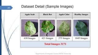 Dataset Detail (Sample Images)
Apple Scab Black Rot Apple Cidar Healthy Images
630 Images 621 Images 275 Images 1645 Images
Total Images 3171
25
Department of Computer Science HITEC University
 