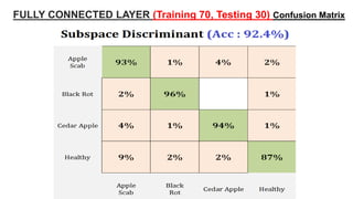 45
FULLY CONNECTED LAYER (Training 70, Testing 30) Confusion Matrix
 