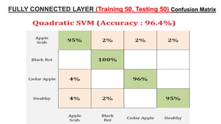 48
FULLY CONNECTED LAYER (Training 50, Testing 50) Confusion Matrix
 