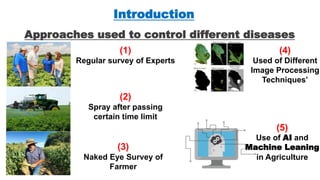 Introduction
7
Approaches used to control different diseases
(1)
Regular survey of Experts
(2)
Spray after passing
certain time limit
(3)
Naked Eye Survey of
Farmer
(4)
Used of Different
Image Processing
Techniques’
(5)
Use of AI and
Machine Leaning
in Agriculture
 