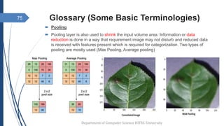 Glossary (Some Basic Terminologies)
 Pooling
 Pooling layer is also used to shrink the input volume area. Information or data
reduction is done in a way that requirement image may not disturb and reduced data
is received with features present which is required for categorization. Two types of
pooling are mostly used (Max Pooling, Average pooling)
Department of Computer Science HITEC University
75
 