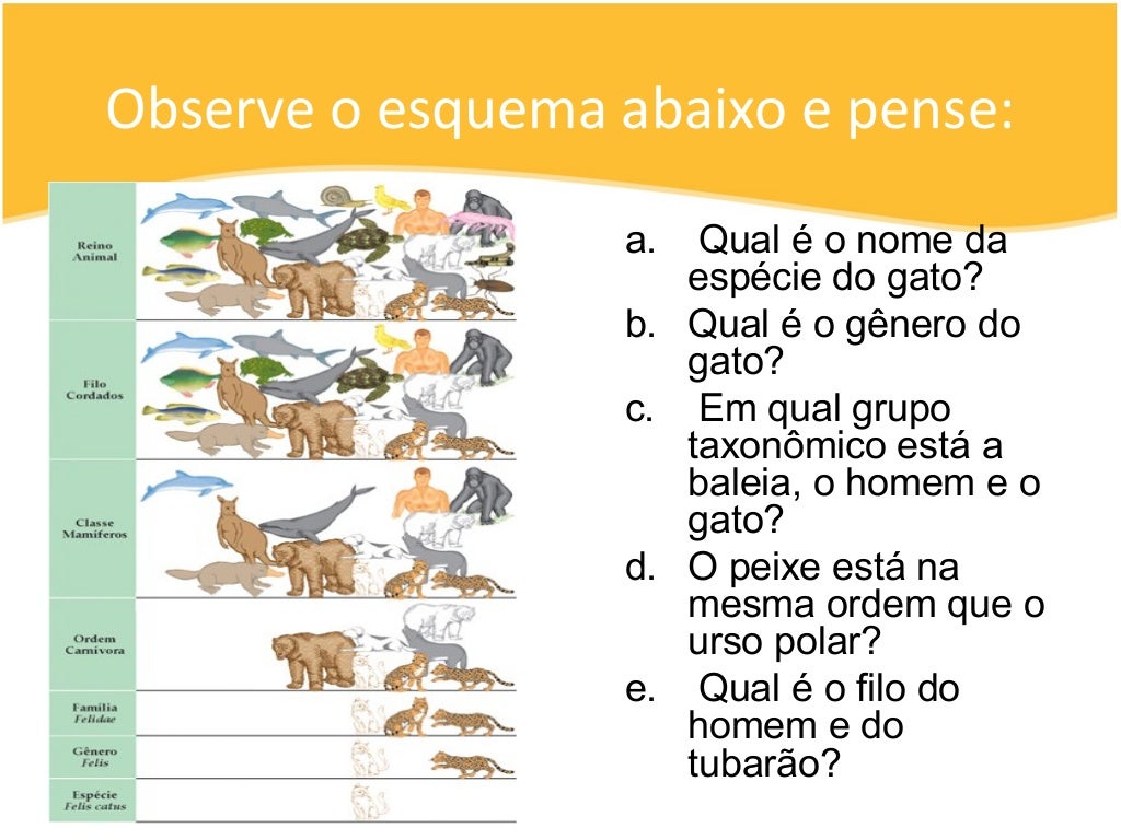 Atualmente Os Seres Vivos São Classificados Em Três Domínios
