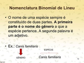 Nomenclatura Binomial de Lineu
• O nome de uma espécie sempre é
constituído de duas partes. A primeira
parte é o nome do gênero a que a
espécie pertence. A segunda palavra é
um adjetivo.
• Ex.: Canis familiaris
Canis familiarisGÊNERO
ESPÉCIE
12
 