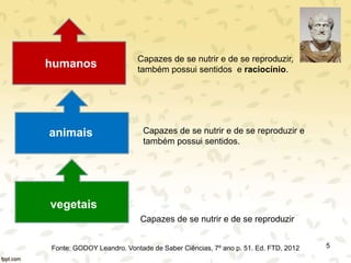 vegetais
Capazes de se nutrir e de se reproduzir
animais Capazes de se nutrir e de se reproduzir e
também possui sentidos.
humanos
Fonte: GODOY Leandro. Vontade de Saber Ciências, 7º ano p. 51. Ed. FTD, 2012
Capazes de se nutrir e de se reproduzir,
também possui sentidos e raciocínio.
5
 