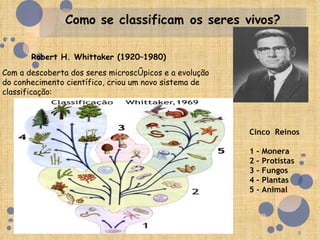 Robert H. Whittaker (1920–1980)
Com a descoberta dos seres microscópicos e a evolução
do conhecimento científico, criou um novo sistema de
classificação:




                                                        Cinco Reinos

                                                        1 – Monera
                                                        2 – Protistas
                                                        3 – Fungos
                                                        4 – Plantas
                                                        5 - Animal




                                                                        5
 