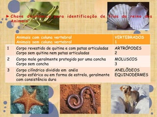 Animais com coluna vertebral                         VERTEBRADOS
    Animais sem coluna vertebral                         1
1   Corpo revestido de quitina e com patas articuladas   ARTRÓPODES
    Corpo sem quitina nem patas articuladas              2
2   Corpo mole geralmente protegido por uma concha       MOLUSCOS
    Corpo sem concha                                     3
3   Corpo cilíndrico dividido em anéis                   ANELÍDEOS
    Corpo esférico ou em forma de estrela, geralmente    EQUINODERMES
    com consistência dura




                                                                        8
 