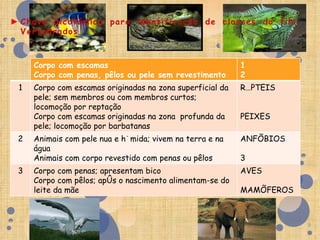Corpo com escamas                                     1
    Corpo com penas, pêlos ou pele sem revestimento       2
1   Corpo com escamas originadas na zona superficial da   RÉPTEIS
    pele; sem membros ou com membros curtos;
    locomoção por reptação
    Corpo com escamas originadas na zona profunda da      PEIXES
    pele; locomoção por barbatanas
2   Animais com pele nua e húmida; vivem na terra e na    ANFÍBIOS
    água
    Animais com corpo revestido com penas ou pêlos        3
3   Corpo com penas; apresentam bico                      AVES
    Corpo com pêlos; após o nascimento alimentam-se do
    leite da mãe                                          MAMÍFEROS



                                                                      9
 