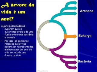 A árvore da
vida é um                       Archaea

anel?
Alguns pesquisadores
   sugerem que os
   eucariotos evoluiu de uma
   fusão entre uma bactéria
   e arqueia
                               Eukarya
• Por isso, as primeiras
   relações evolutivas
   podem ser representadas
   melhores por um anel da
   vida em vez de uma
   árvore da vida

                               Bacteria
 