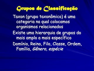 Grupos de Classificação
Taxon (grupo taxonômico) é uma
 categoria na qual colocamos
 organismos relacionados
Existe uma hierarquia de grupos do
 mais amplo a mais específico
Domínio, Reino, Filo, Classe, Ordem,
 Família, Gênero, espécie
 