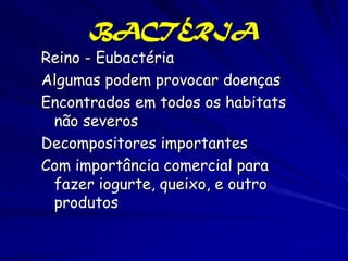 BACTÉRIA
Reino - Eubactéria
Algumas podem provocar doenças
Encontrados em todos os habitats
 não severos
Decompositores importantes
Com importância comercial para
 fazer iogurte, queixo, e outro
 produtos
 