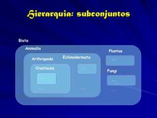 Hierarquia: subconjuntos

Biota
   Animalia
                                     Plantae

        Arthropoda   Echinodermata     …

         Crustacea           …
                                     Fungi
              …
                                       …

           …                 …        …
 