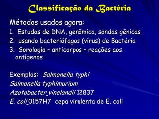 Classificação da Bactéria
Métodos usados agora:
1. Estudos de DNA, genômica, sondas gênicas
2. usando bacteriófagos (vírus) de Bactéria
3. Sorologia – anticorpos – reações aos
  antígenos

Exemplos: Salmonella typhi
Salmonella typhimurium
Azotobacter vinelandii 12837
E. coli 0157H7 cepa virulenta de E. coli
 