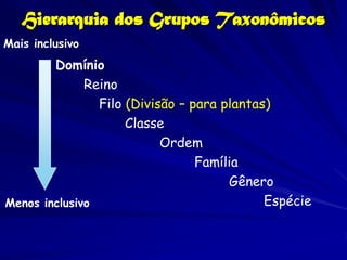 Hierarquia dos Grupos Taxonômicos
Mais inclusivo
        Domínio
              Reino
                Filo (Divisão – para plantas)
                     Classe
                           Ordem
                                 Família
                                      Gênero
Menos inclusivo                             Espécie
 