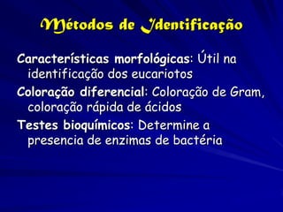 Métodos de Identificação
Características morfológicas: Útil na
 identificação dos eucariotos
Coloração diferencial: Coloração de Gram,
 coloração rápida de ácidos
Testes bioquímicos: Determine a
 presencia de enzimas de bactéria
 