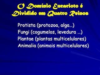 O Domínio Eucarioto é
Dividido em Quatro Reinos
 Protista (protozoa, alga…)
 Fungi (cogumelos, levedura …)
 Plantae (plantas multicelulares)
 Animalia (animais multicelulares)
 