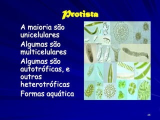 Protista
A maioria são
unicelulares
Algumas são
multicelulares
Algumas são
autotróficas, e
outros
heterotróficas
Formas aquática

                      48
 