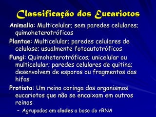 Classificação dos Eucariotos
Animalia: Multicelular; sem paredes celulares;
  quimoheterotróficos
Plantae: Multicelular; paredes celulares de
  celulose; usualmente fotoautotróficos
Fungi: Quimoheterotróficos; unicelular ou
  multicelular; paredes celulares de quitina;
  desenvolvem de esporos ou fragmentos das
  hifas
Protista: Um reino coringa dos organismos
  eucariotos que não se encaixam em outros
  reinos
  – Agrupados em clades a base do rRNA
 