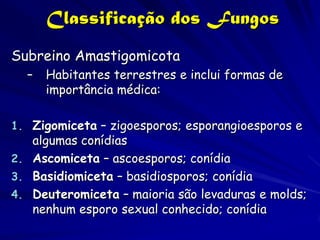 Classificação dos Fungos
Subreino Amastigomicota
  –   Habitantes terrestres e inclui formas de
      importância médica:

1. Zigomiceta – zigoesporos; esporangioesporos e
   algumas conídias
2. Ascomiceta – ascoesporos; conídia
3. Basidiomiceta – basidiosporos; conídia
4. Deuteromiceta – maioria são levaduras e molds;
   nenhum esporo sexual conhecido; conídia
 