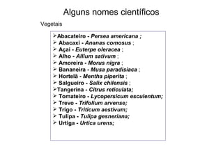 Alguns nomes científicos
Abacateiro - Persea americana ;
 Abacaxi - Ananas comosus ;
 Açaí - Euterpe oleracea ;
 Alho - Allium sativum ;
 Amoreira - Morus nigra ;
 Bananeira - Musa paradisiaca ;
 Hortelã - Mentha piperita ;
 Salgueiro - Salix chilensis ;
Tangerina - Citrus reticulata;
 Tomateiro - Lycopersicum esculentum;
 Trevo - Trifolium arvense;
 Trigo - Triticum aestivum;
 Tulipa - Tulipa gesneriana;
 Urtiga - Urtica urens;
Vegetais
 