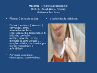 Maconha - THC (Tetraidrocanabinol)
Hashishi, Bangh,Ganja, Diamba,
Marijuana, Marihiana
• Planta: Cannabis sativa;
• Efeitos: ↓ náuseas, ↓ vômitos, ↓
convulsões, olhos
avermelhados, boca
seca, taquicardia, relaxamento, hi
laridade, confusão
mental, sudorese, tremor, ↓
memória de curta duração , ↓
atenção, delírios, alucinações, pro
blemas respiratórios e
infertilidade;
• Apresenta substâncias
cancerígenas, como o tabaco.
• ↑ variabilidade individual
 