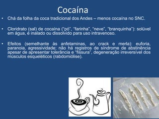 Cocaína
• Chá da folha da coca tradicional dos Andes – menos cocaína no SNC.
• Cloridrato (sal) de cocaína (“pó”, “farinha”, “neve”, “branquinha”): solúvel
em água, é inalado ou dissolvido para uso intravenoso.
• Efeitos (semelhante às anfetaminas, ao crack e merla): euforia,
paranoia, agressividade; não há registros de síndrome de abstinência
apesar de apresentar tolerância e “fissura”, degeneração irreversível dos
músculos esqueléticos (rabdomiólise).
 