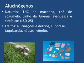 Alucinógenos
• Naturais: THC da maconha, chá de
cogumelo, vinho da Jurema, ayahuasca e
sintéticos (LSD-25)
• Efeitos: alucinações e delírios, sudorese,
taquicardia, náusea, vômito.
 