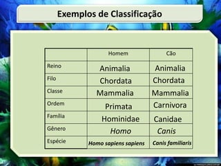 Homem Cão
Reino
Filo
Classe
Ordem
Família
Gênero
Espécie
Exemplos de Classificação
Animalia Animalia
Chordata Chordata
Mammalia Mammalia
Primata Carnivora
Hominidae Canidae
Homo Canis
Homo sapiens sapiens Canis familiaris
 