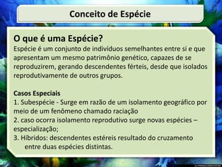 O que é uma Espécie?
Espécie é um conjunto de indivíduos semelhantes entre si e que
apresentam um mesmo patrimônio genético, capazes de se
reproduzirem, gerando descendentes férteis, desde que isolados
reprodutivamente de outros grupos.
Casos Especiais
1. Subespécie - Surge em razão de um isolamento geográfico por
meio de um fenômeno chamado raciação
2. caso ocorra isolamento reprodutivo surge novas espécies –
especialização;
3. Híbridos: descendentes estéreis resultado do cruzamento
entre duas espécies distintas.
Conceito de Espécie
 