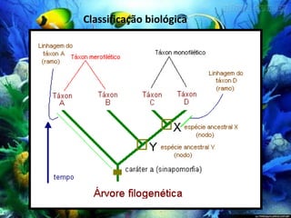 Classificação biológica
 