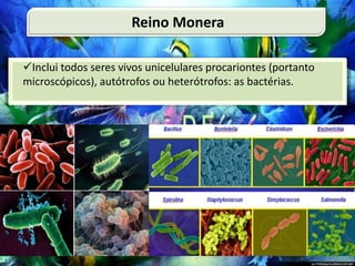 Inclui todos seres vivos unicelulares procariontes (portanto
microscópicos), autótrofos ou heterótrofos: as bactérias.
Reino Monera
 