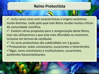 - Inclui seres vivos com características e origens evolutivas
muito distintas, razão pela qual este Reino recebe muitas críticas
da comunidade científica.
- Existem várias propostas para a reorganização deste Reino,
mas nós utilizaremos a que esta mais difundida no momento,
inclusive em termos de vestibular.
- Os seres protoctistas são subdivididos em 2 grupos:
Protozoários: todos unicelulares, eucariontes e heterótrofos.
Algas: seres unicelulares e multicelulares, eucariontes,
autótrofos fotossintetizantes.
Reino Protoctista
 