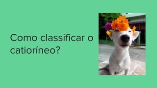 Como classificar o
catioríneo?
 