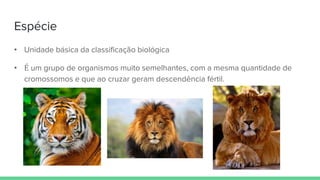 Espécie
• Unidade básica da classificação biológica
• É um grupo de organismos muito semelhantes, com a mesma quantidade de
cromossomos e que ao cruzar geram descendência fértil.
 