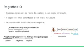 Regrinhas :D
• Subespécie: depois do nome da espécie e com inicial minúscula.
• Subgênero: entre parênteses e com inicial maiúscula.
• Nome do autor e data: depois da espécie.
 