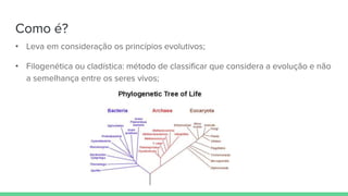 Como é?
• Leva em consideração os princípios evolutivos;
• Filogenética ou cladística: método de classificar que considera a evolução e não
a semelhança entre os seres vivos;
 