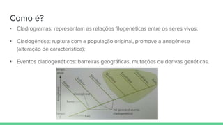 Como é?
• Cladrogramas: representam as relações filogenéticas entre os seres vivos;
• Cladogênese: ruptura com a população original, promove a anagênese
(alteração de característica);
• Eventos cladogenéticos: barreiras geográficas, mutações ou derivas genéticas.
 
