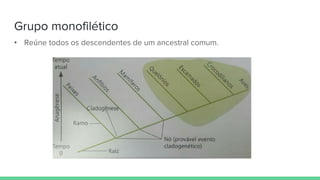Grupo monofilético
• Reúne todos os descendentes de um ancestral comum.
 